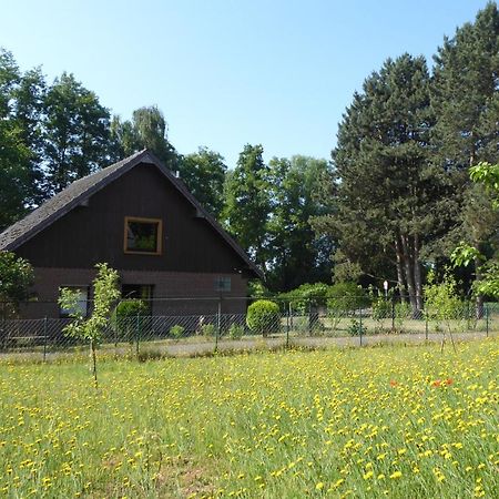 Ferienhaus An Der Borner Muehle Bruggen  Exterior photo